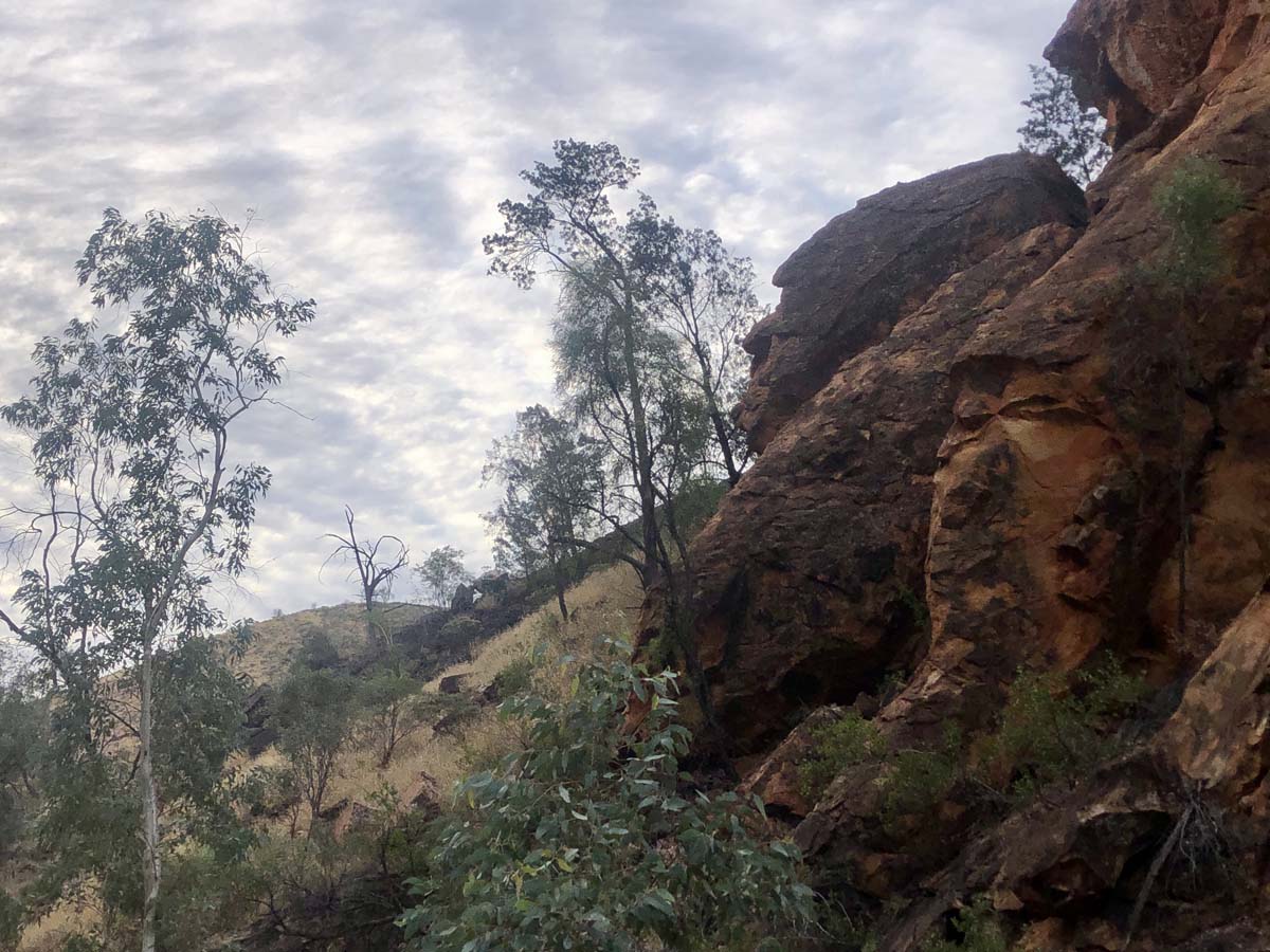 N'dhala gorge walk 19
