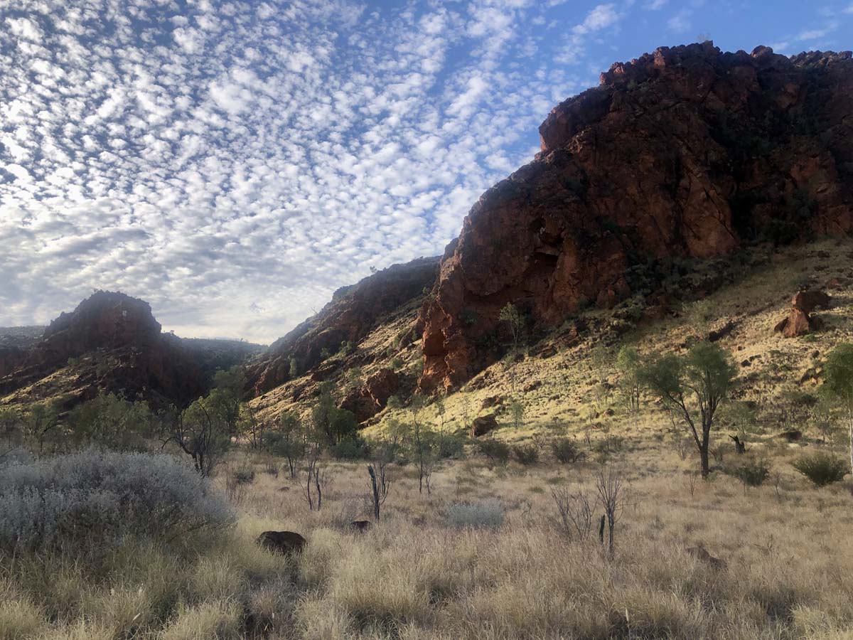 N'dhala gorge walk 2