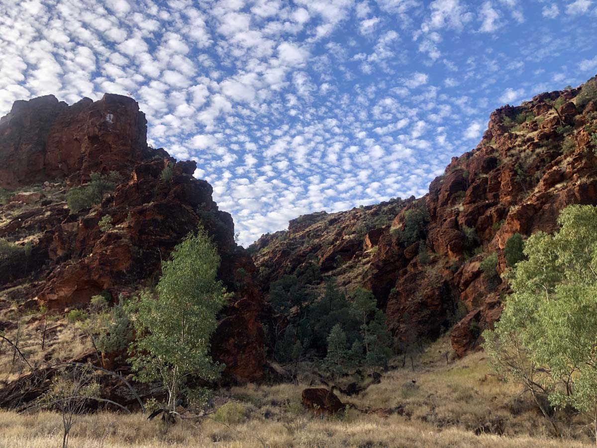 N'dhala gorge walk 4