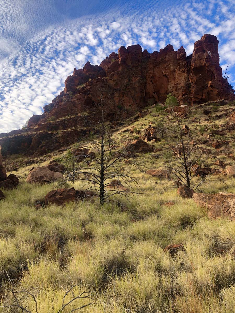 N'dhala gorge walk 5