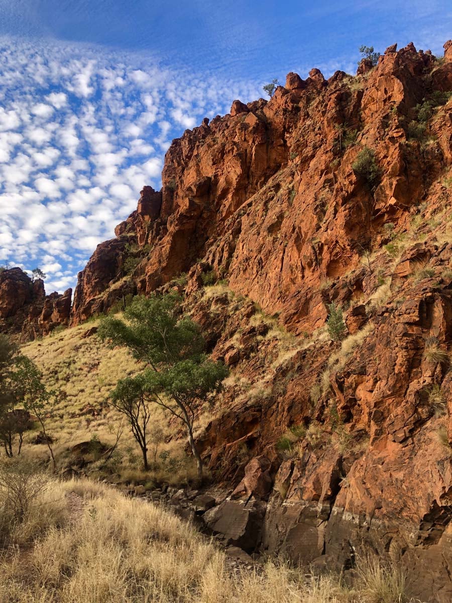 N'dhala gorge walk 6