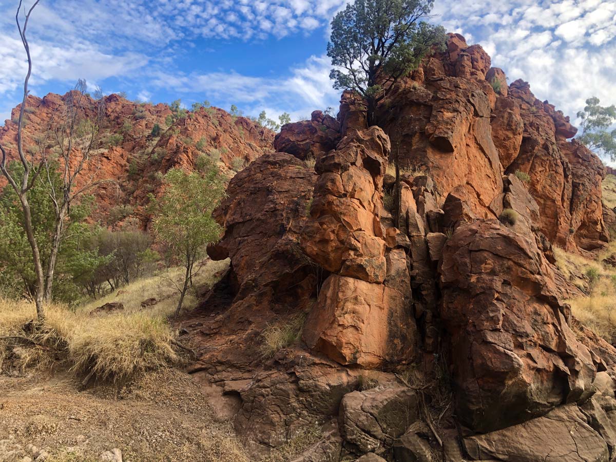 N'dhala gorge walk 9