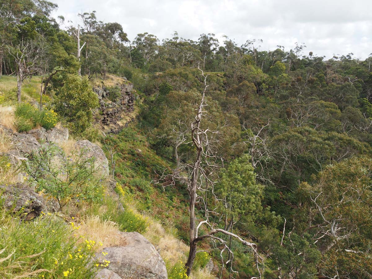 Natural bridge walk (2)