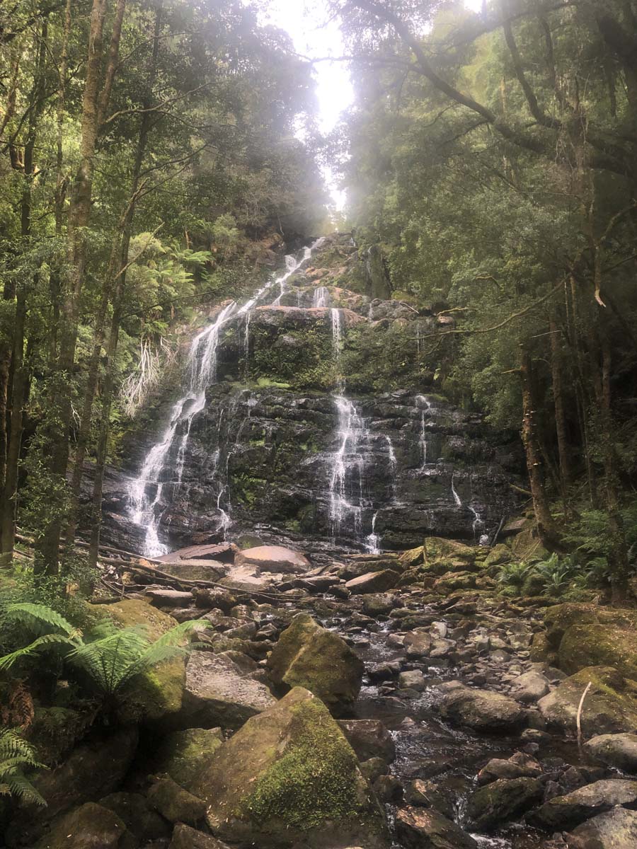 Nelson falls walk 4