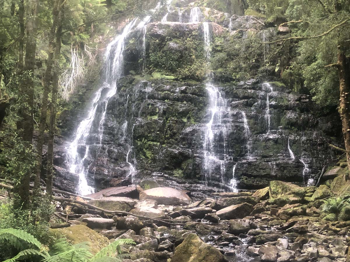 Nelson falls walk 5