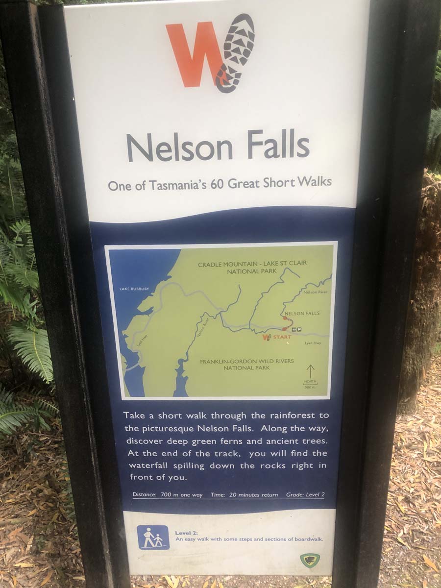 Nelson falls walk 6