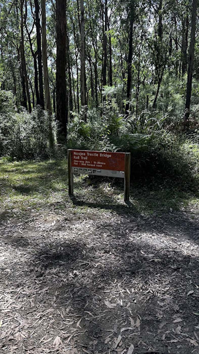 Nojee trestle bridge walk (1)