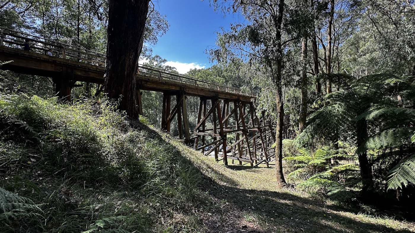 Nojee trestle bridge walk (17)