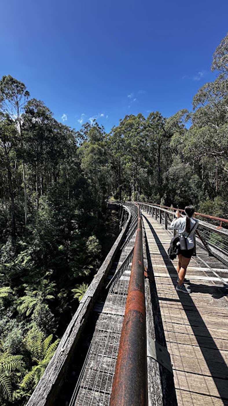 Nojee trestle bridge walk (2)