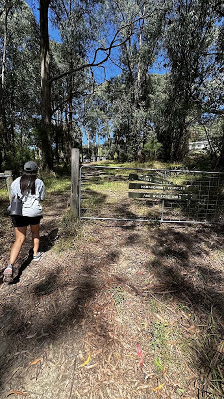 Nojee trestle bridge walk (3)
