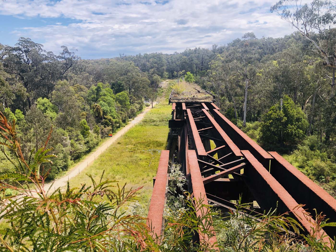 Noojee trestle bridge rail trail (3)