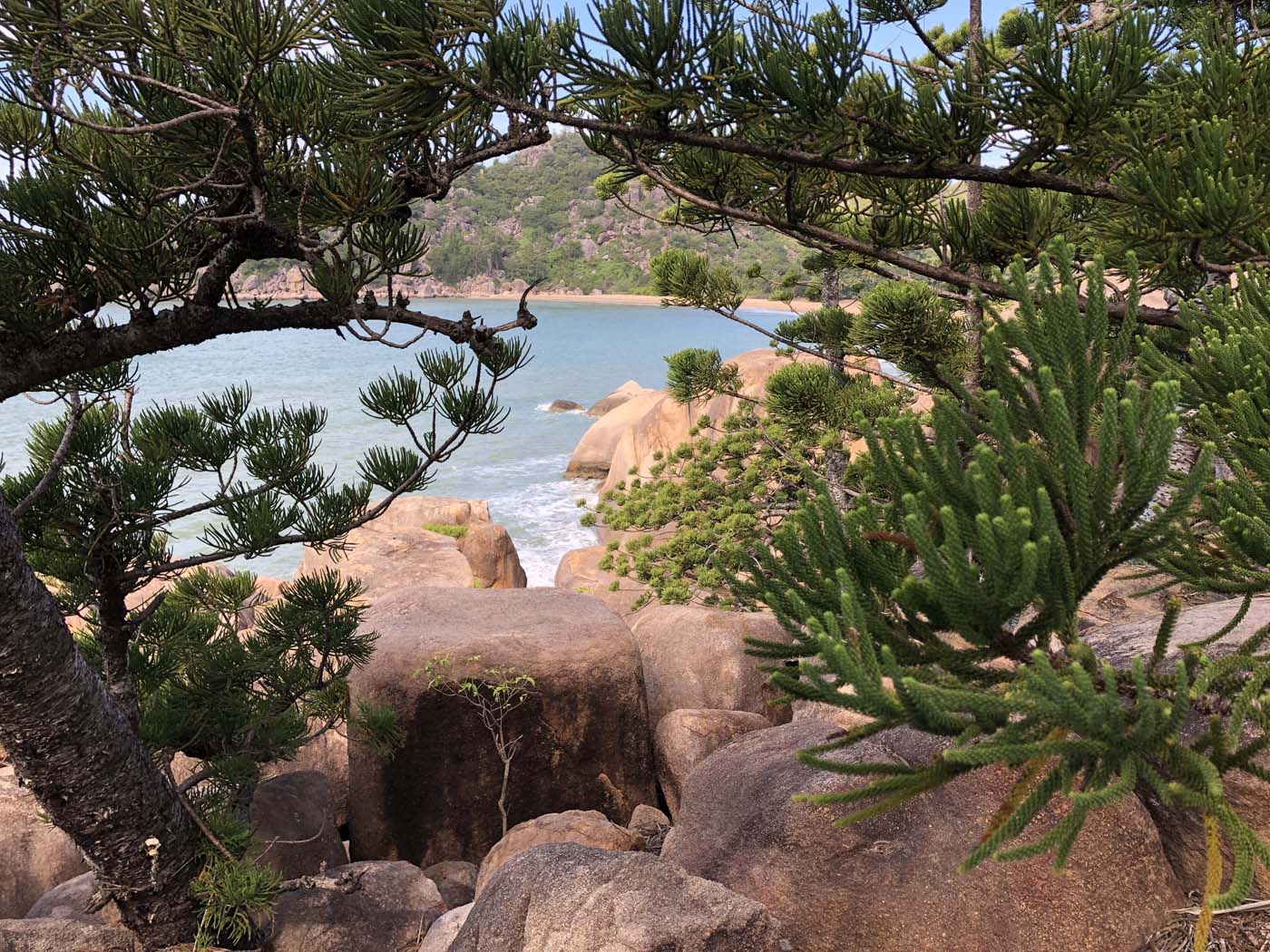 North east coastal walk magnetic island (13)