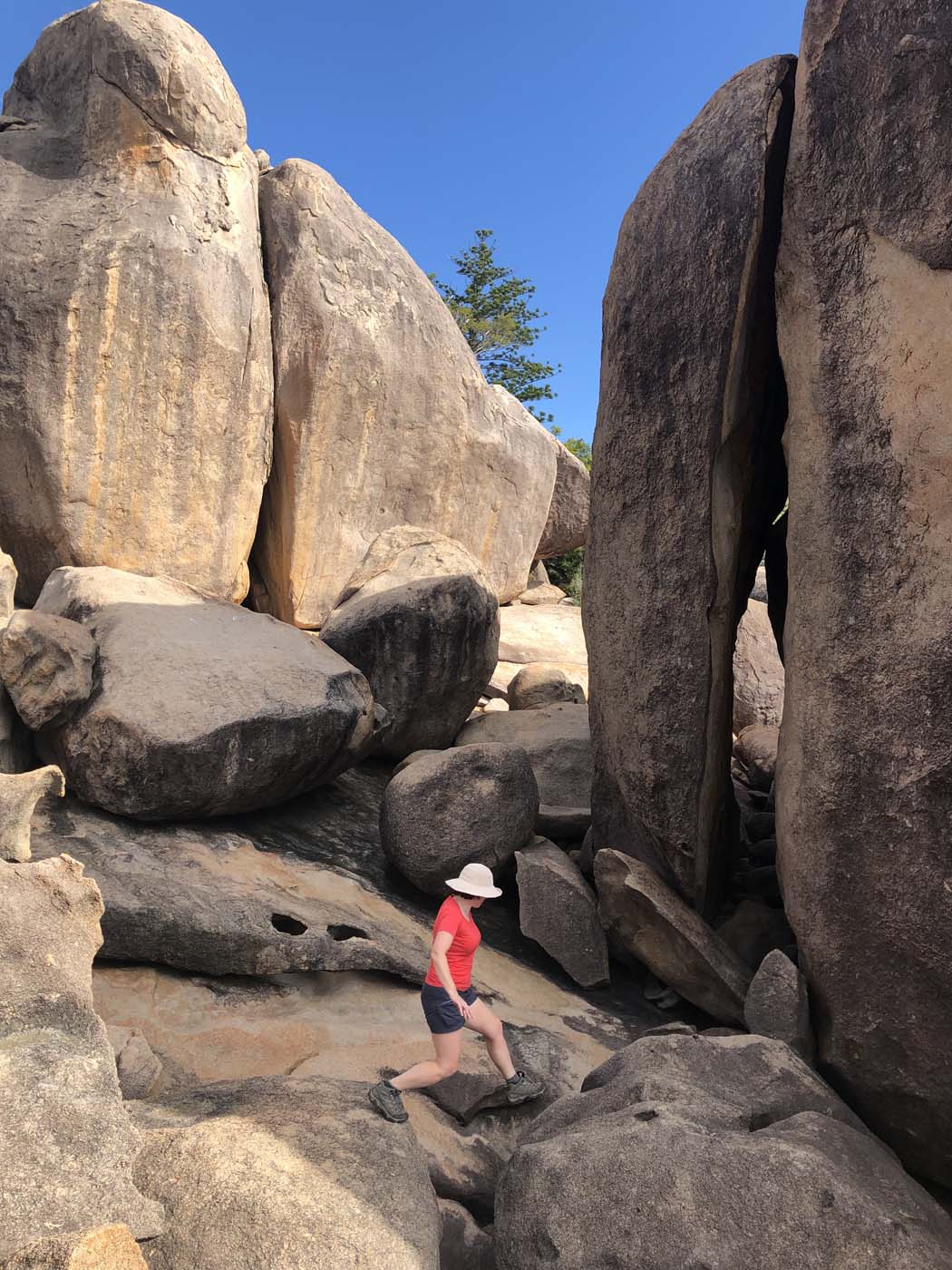 North east coastal walk magnetic island (19)