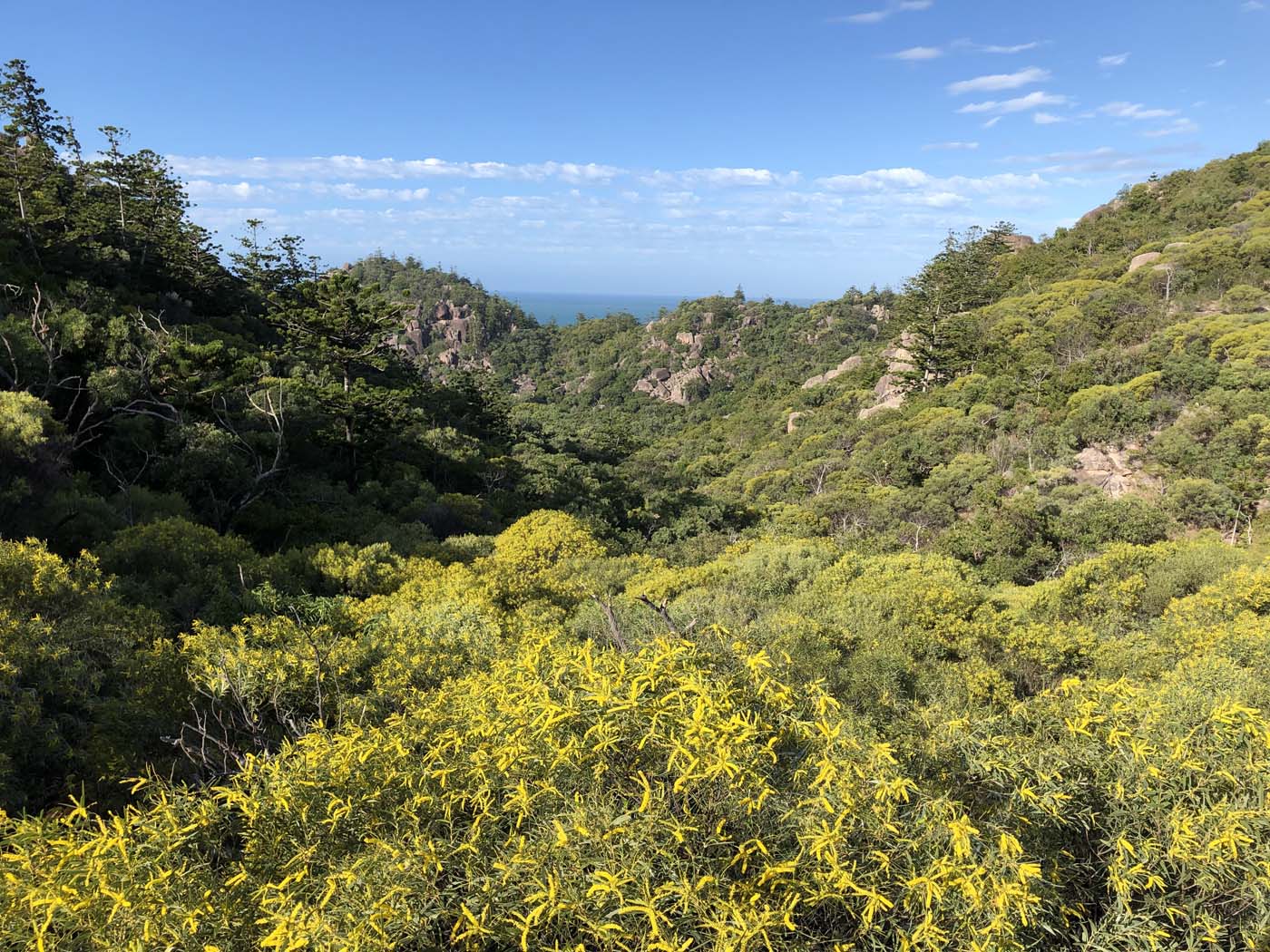 North east coastal walk magnetic island (25)