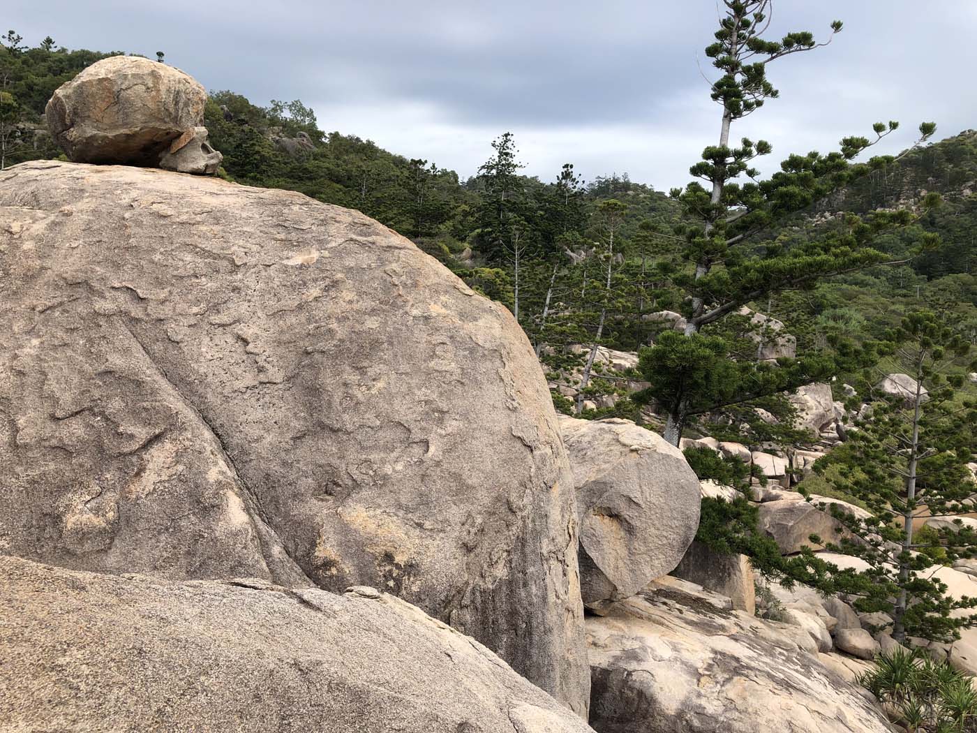 North east coastal walk magnetic island (6)