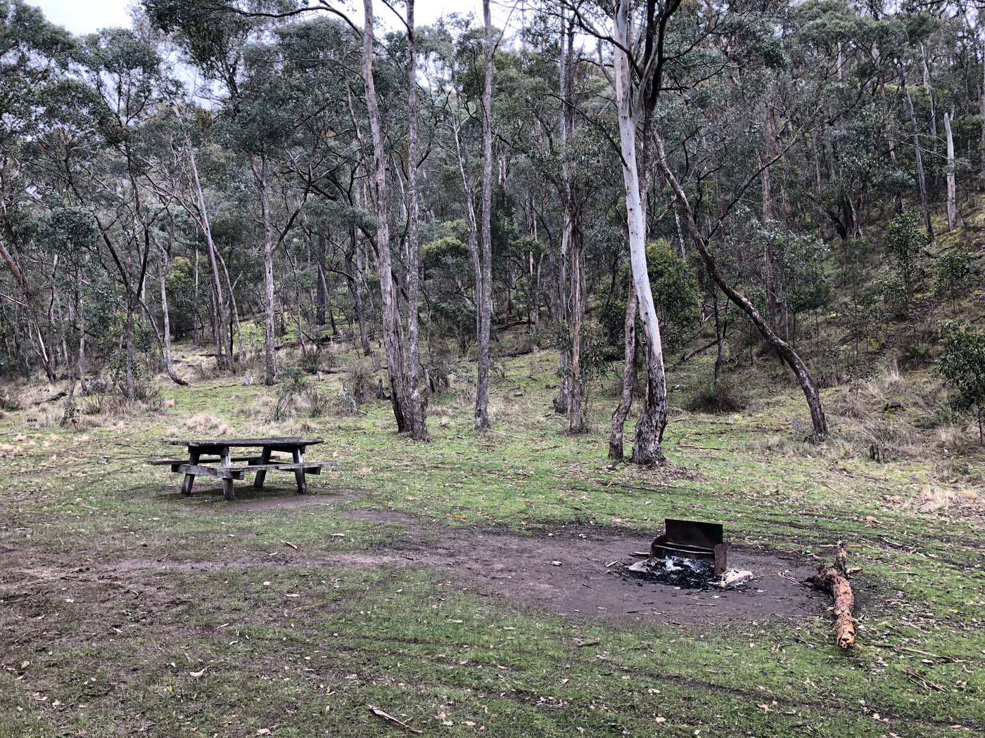 Northern brisbane ranges hike (1)