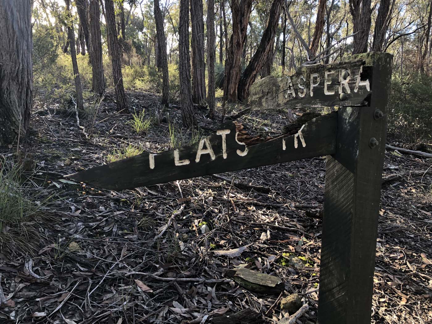 Northern brisbane ranges hike (17)