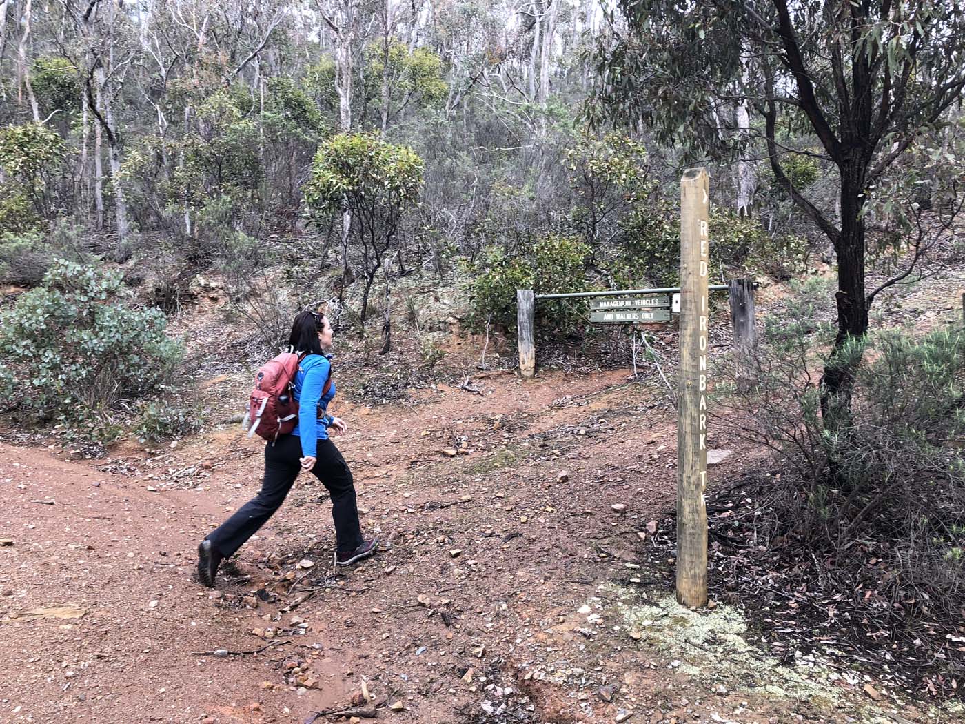 Northern brisbane ranges hike (2)