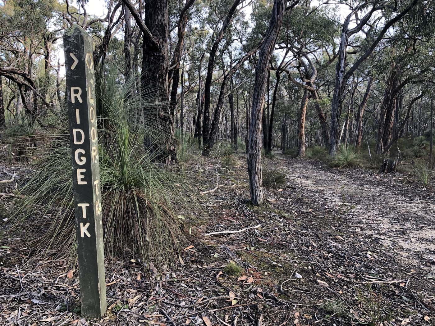 Northern brisbane ranges hike (21)