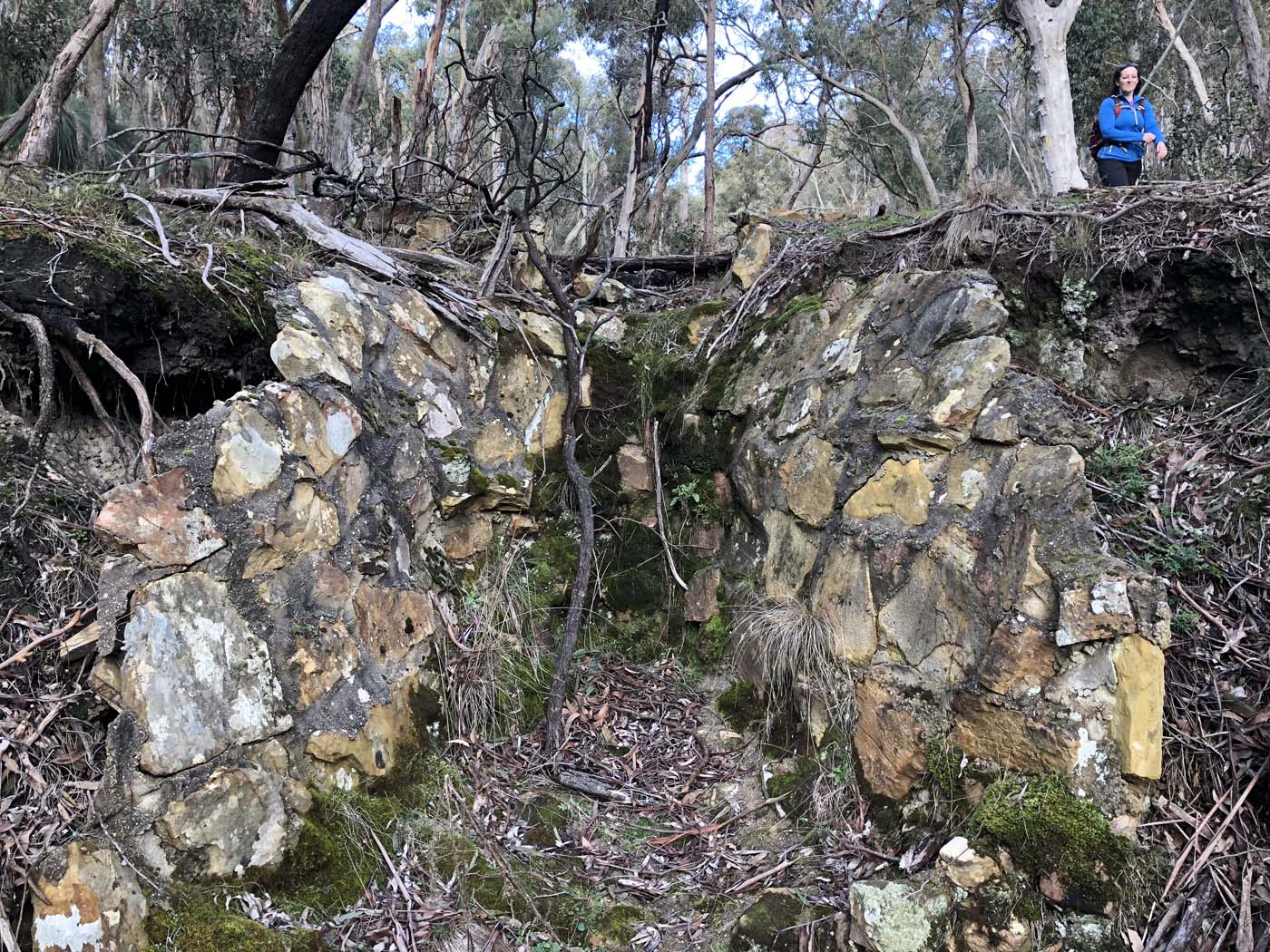 Northern brisbane ranges hike (22)
