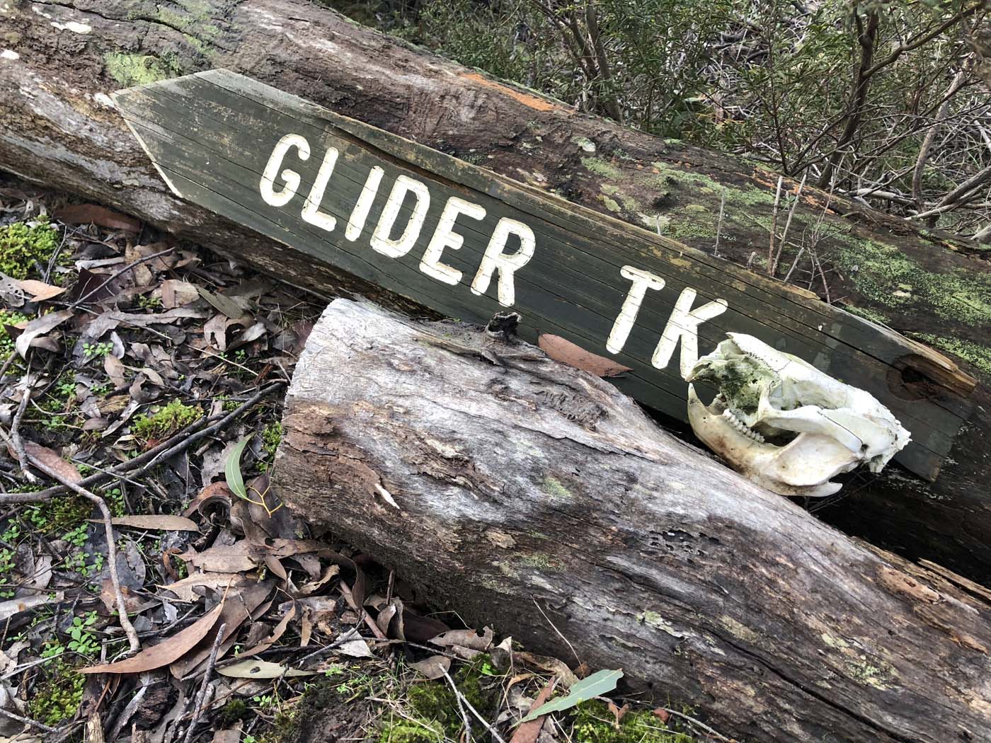 Northern brisbane ranges hike (23)