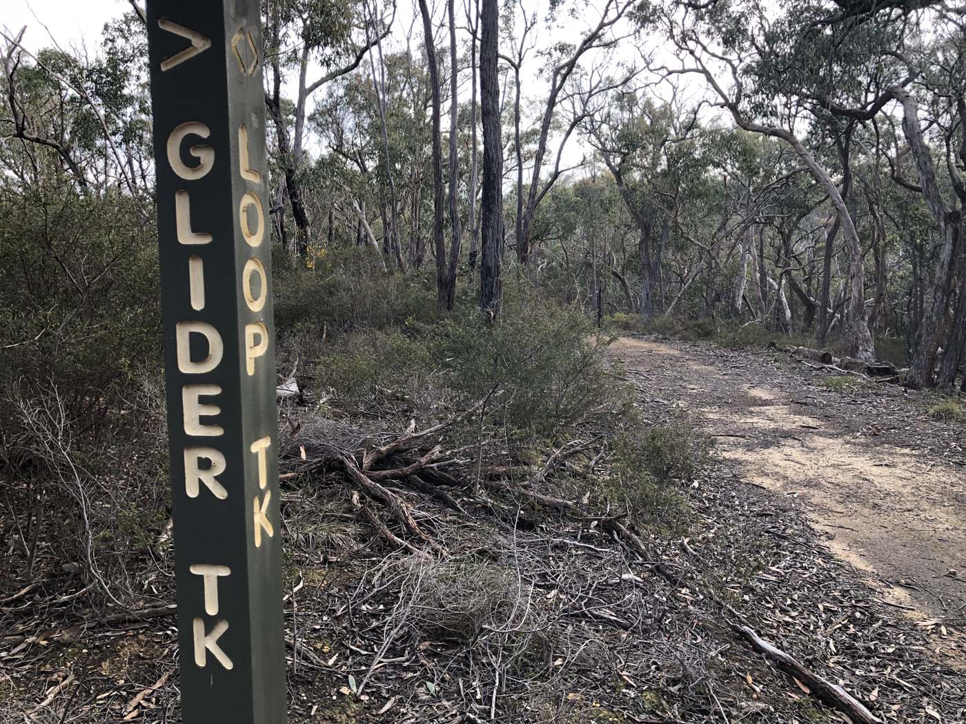 Northern brisbane ranges hike (26)