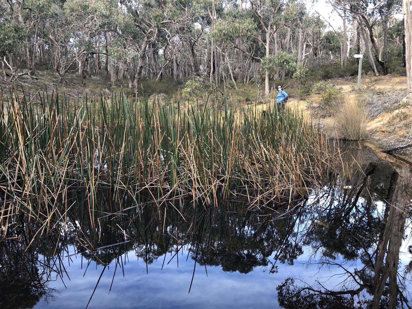 Northern brisbane ranges hike (27)
