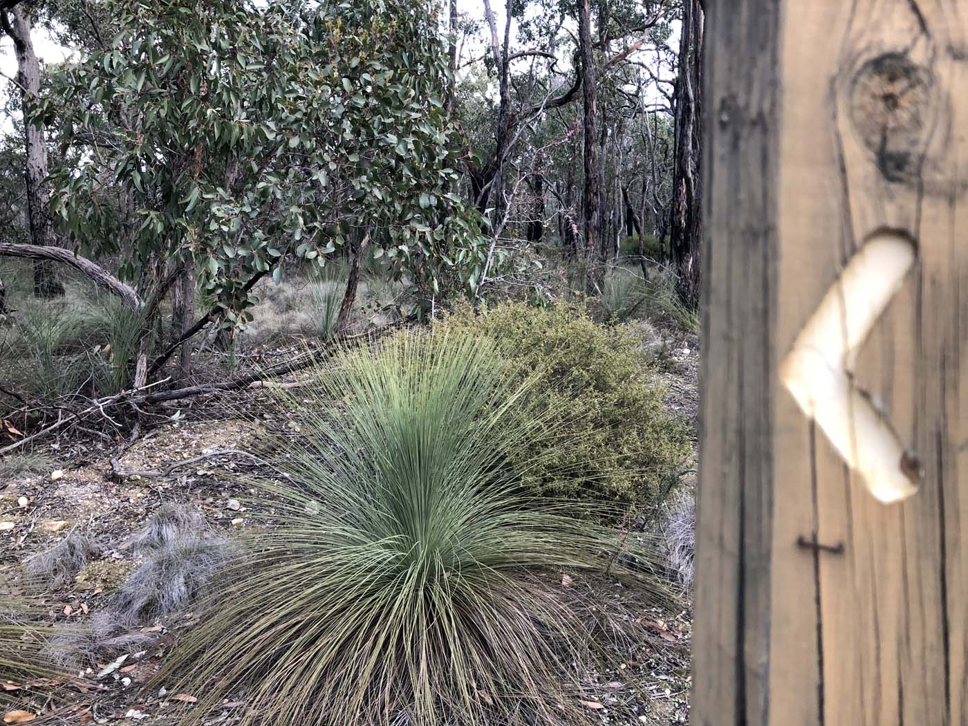 Northern brisbane ranges hike (30)