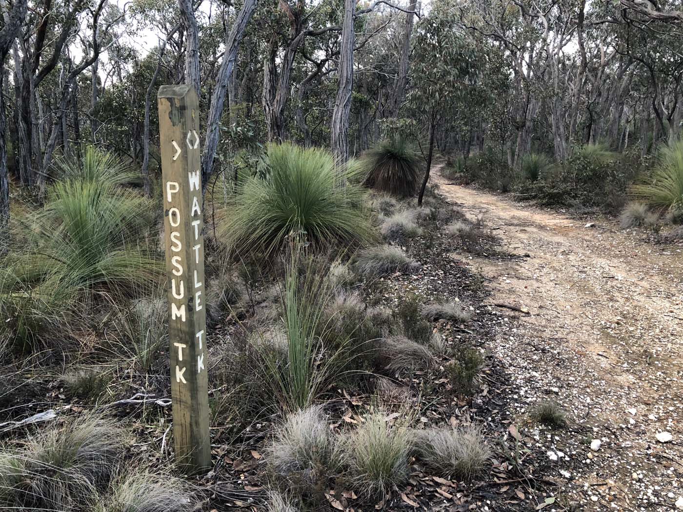 Northern brisbane ranges hike (32)