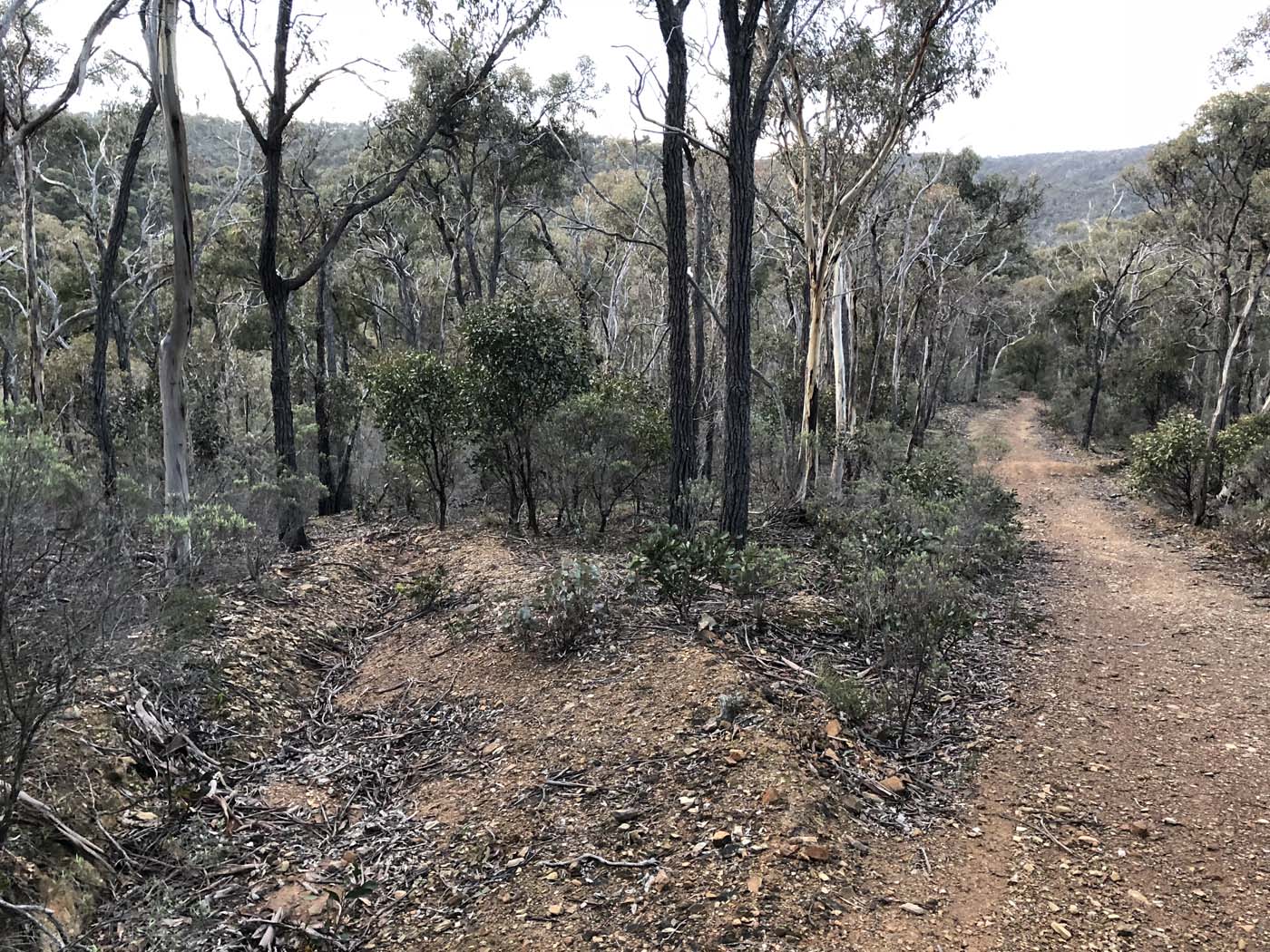 Northern brisbane ranges hike (34)
