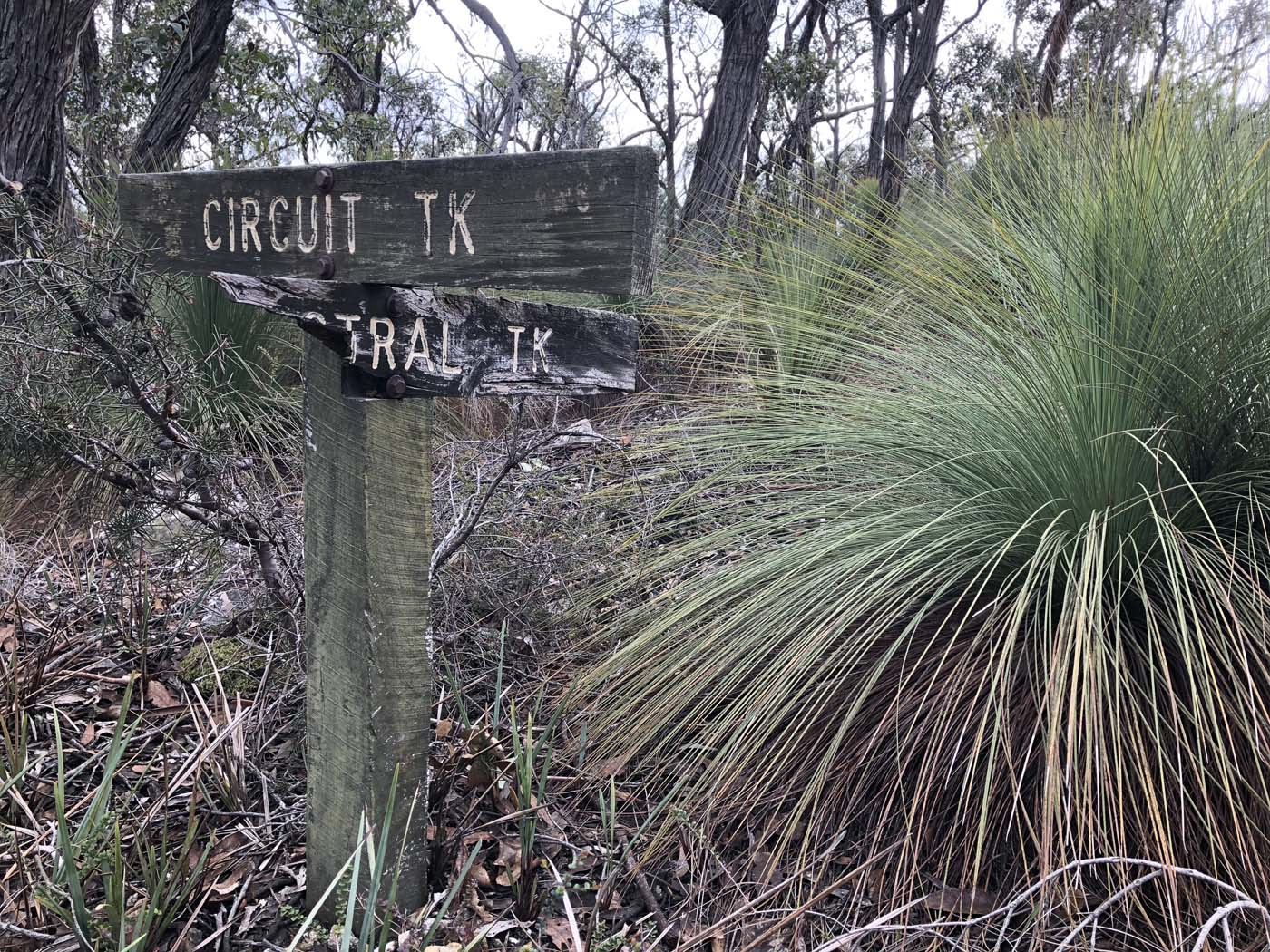 Northern brisbane ranges hike (8)