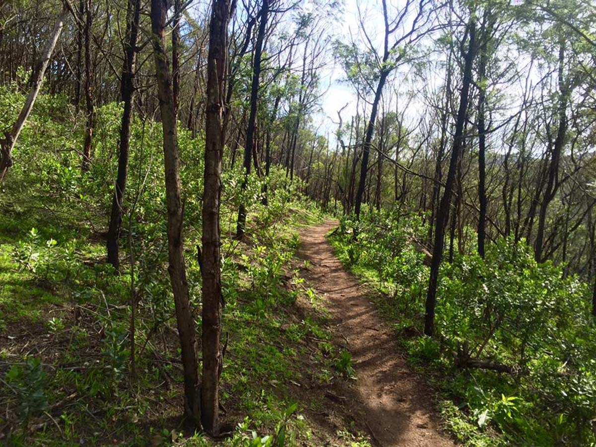 Northern range circuit 5