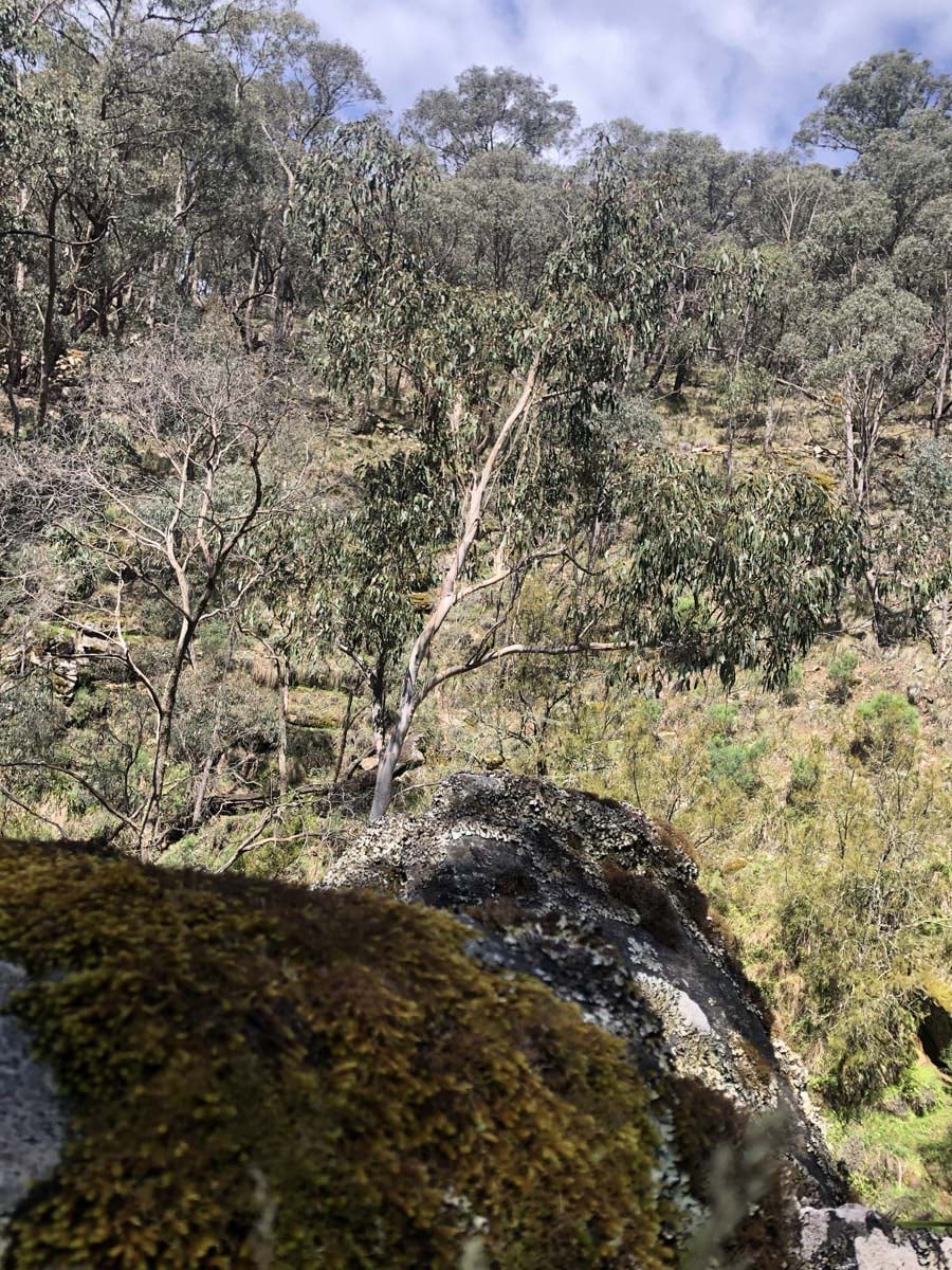 O'briens & byers circuit hike 32