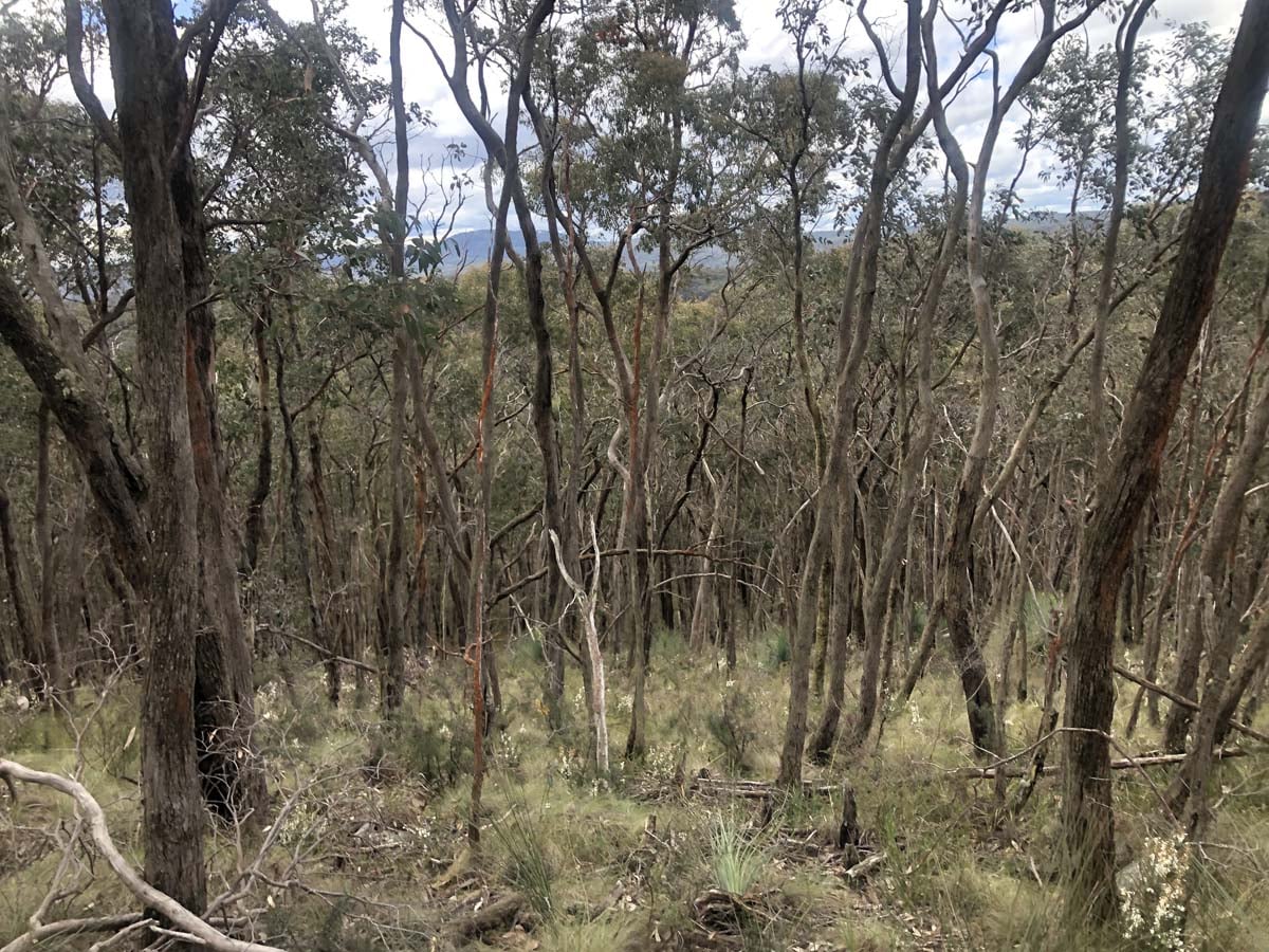 O'briens & byers circuit hike 37