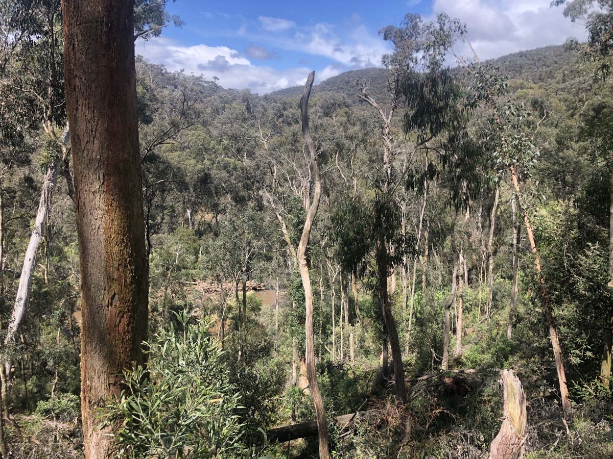 O'briens & byers circuit hike 5