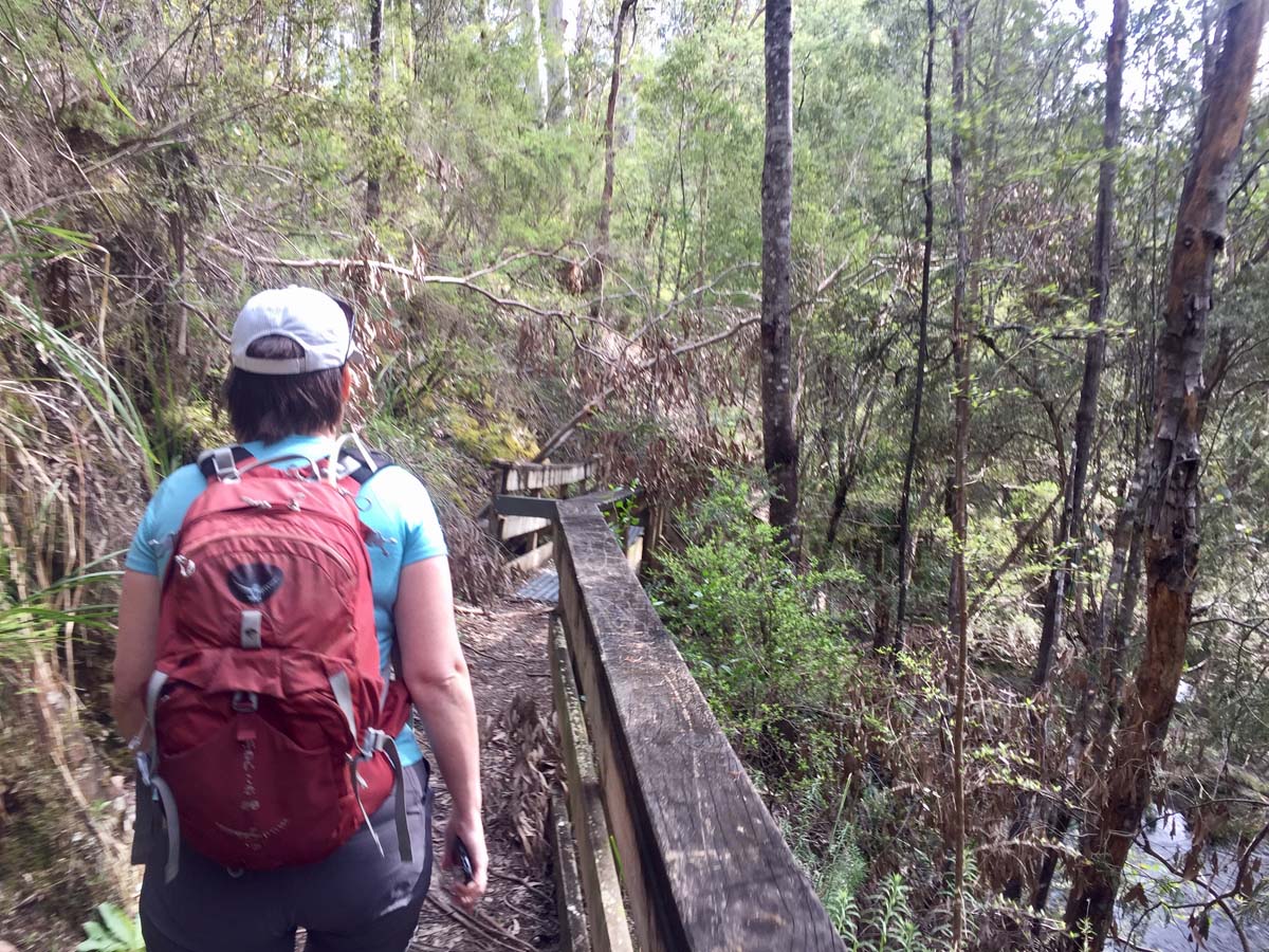 O'shannassy aqueduct trail walk 1