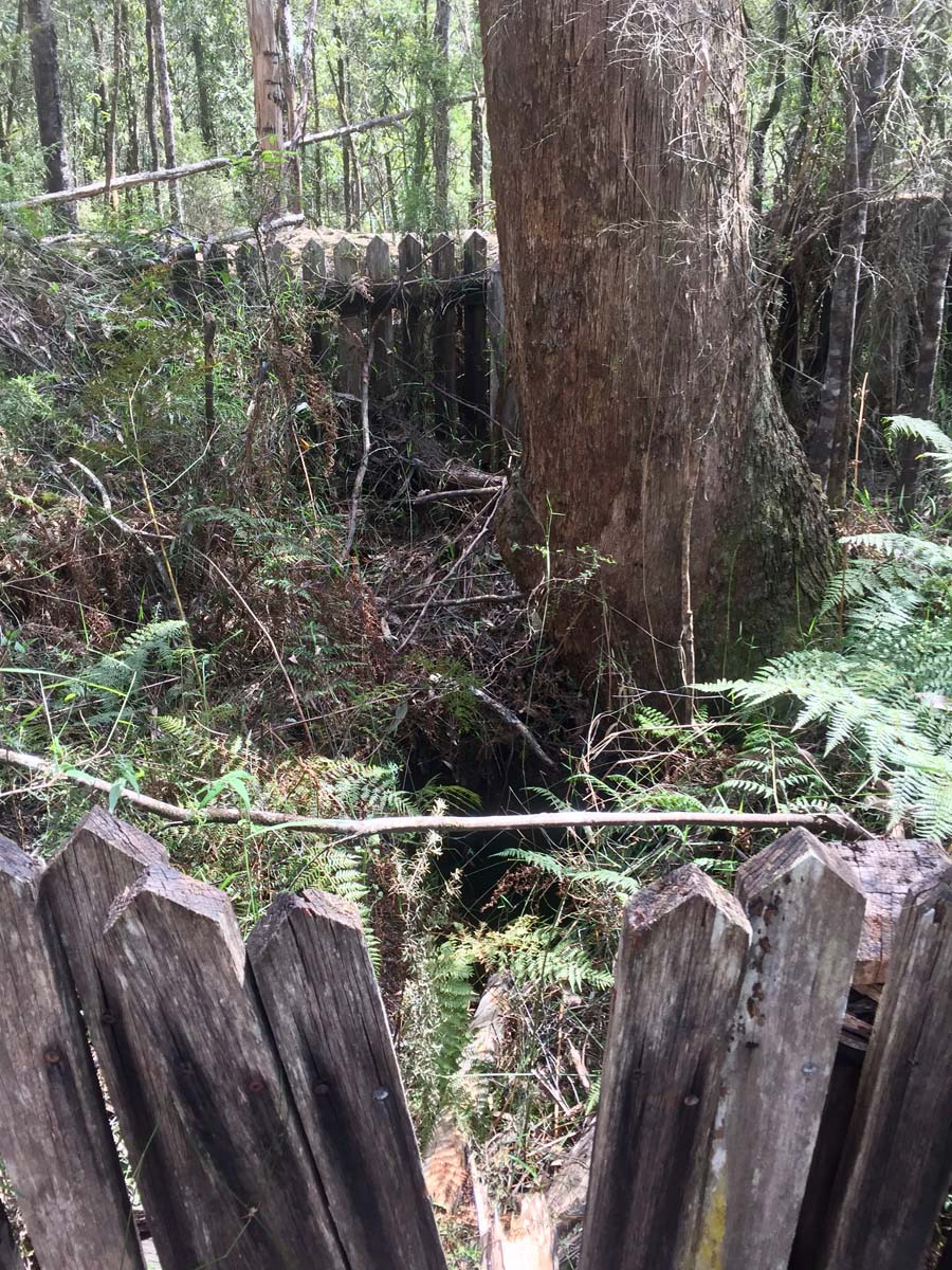 O'shannassy aqueduct trail walk 11