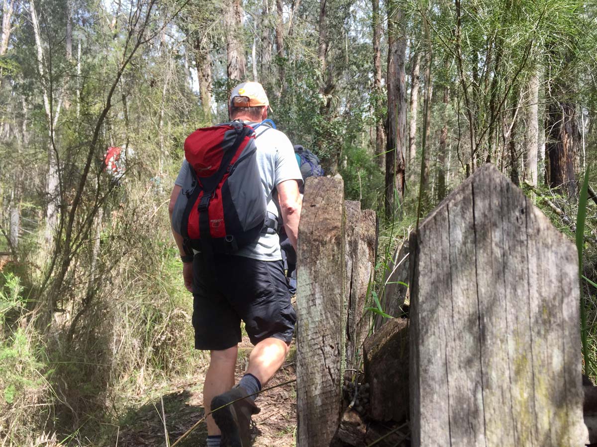 O'shannassy aqueduct trail walk 12