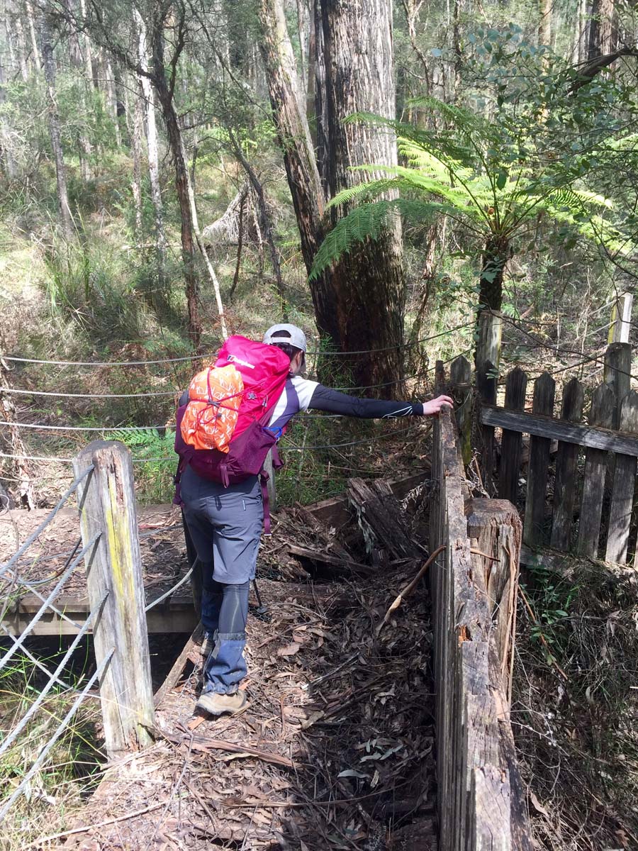 O'shannassy aqueduct trail walk 13