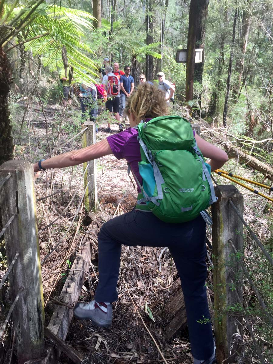 O'shannassy aqueduct trail walk 14