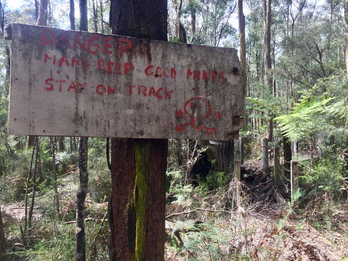 O'shannassy aqueduct trail walk 15