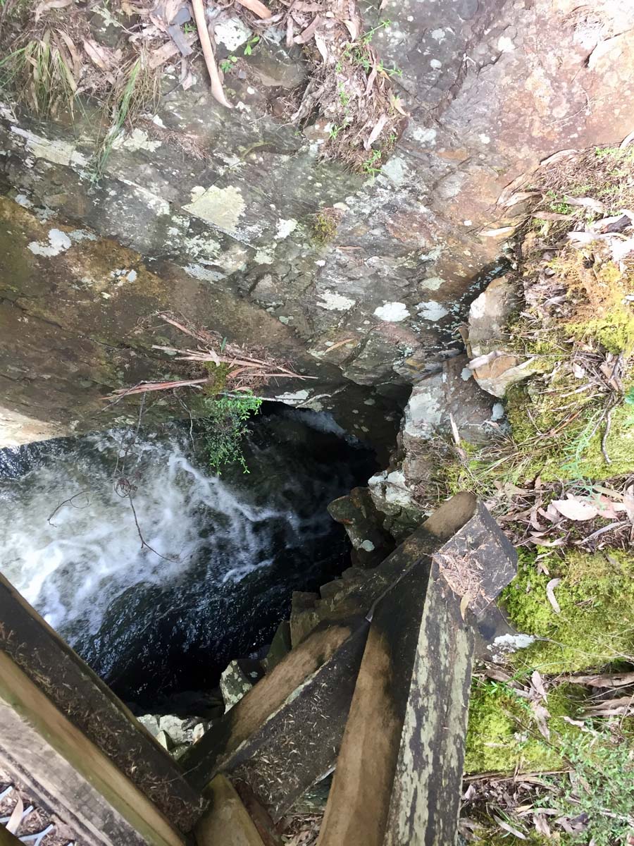 O'shannassy aqueduct trail walk 2