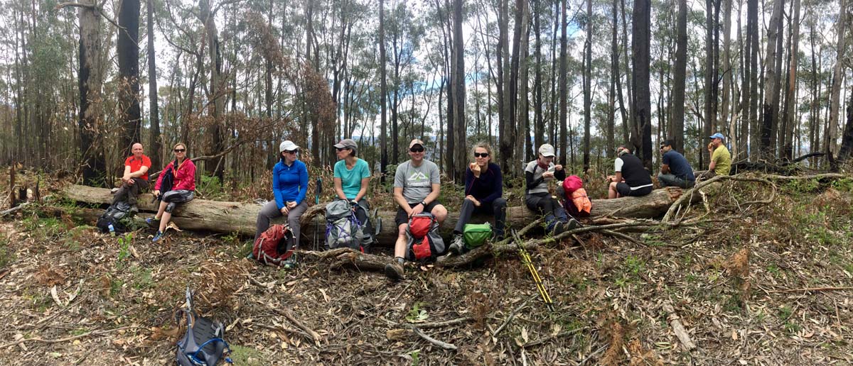 O'shannassy aqueduct trail walk 26