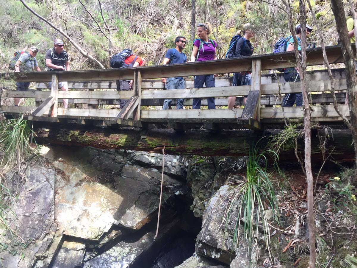 O'shannassy aqueduct trail walk 3