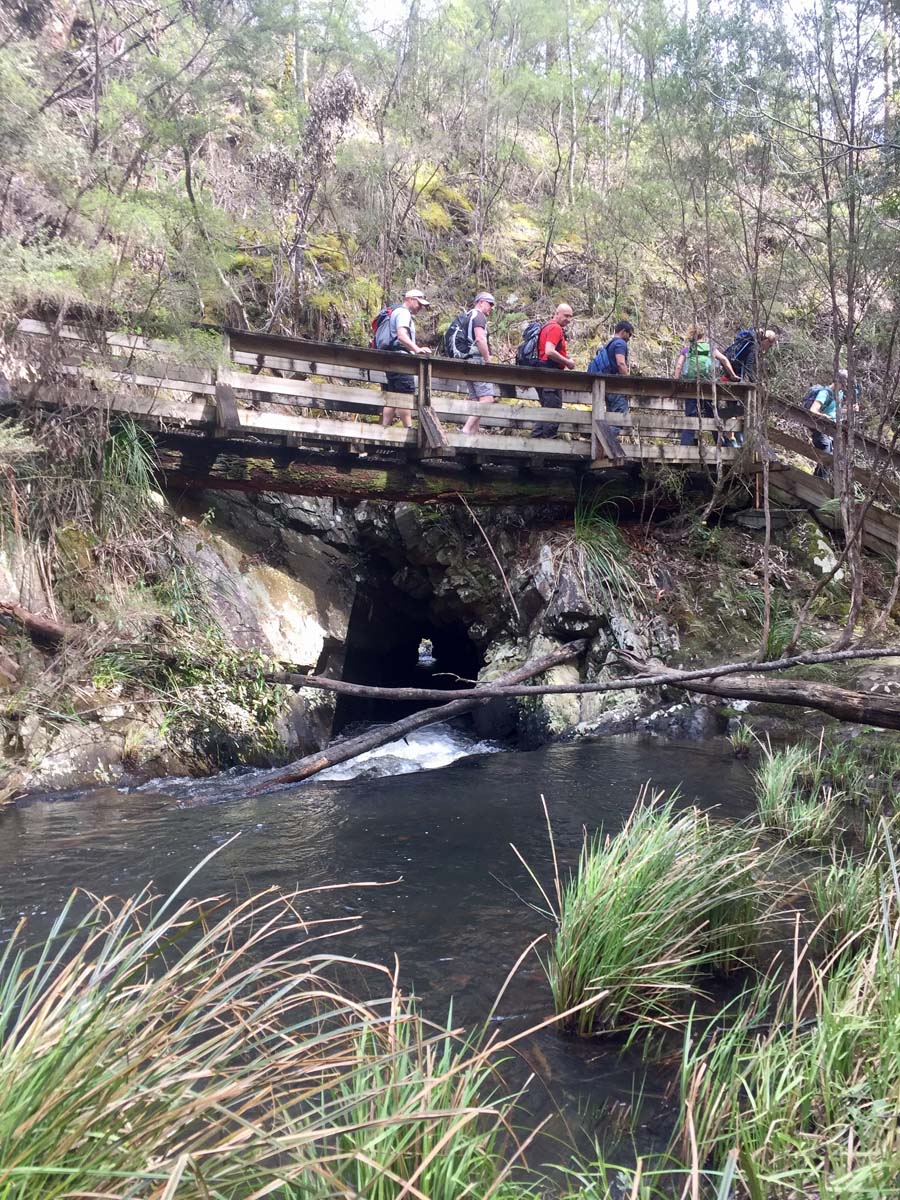 O'shannassy aqueduct trail walk 4