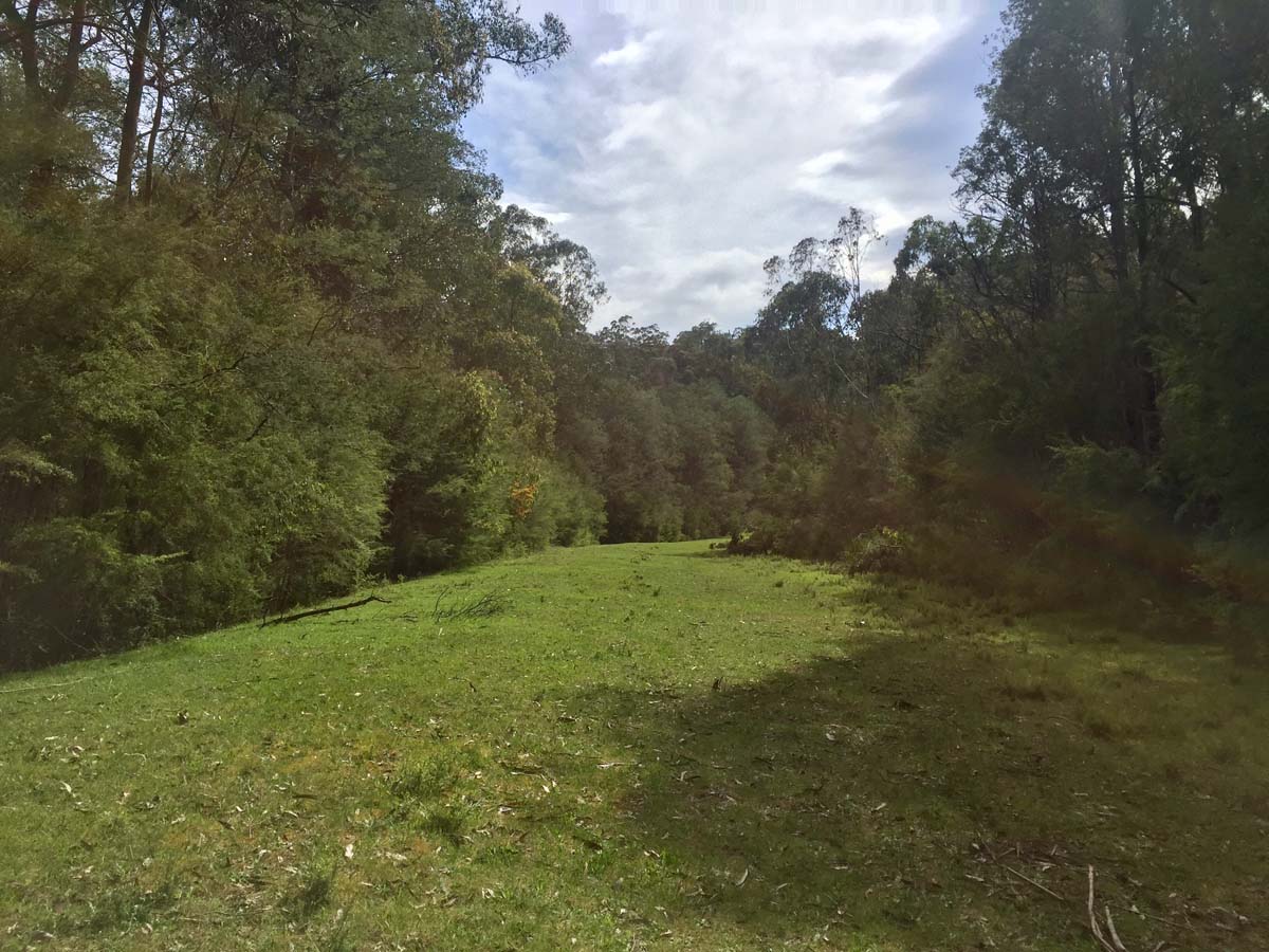 O'shannassy aqueduct trail walk 5