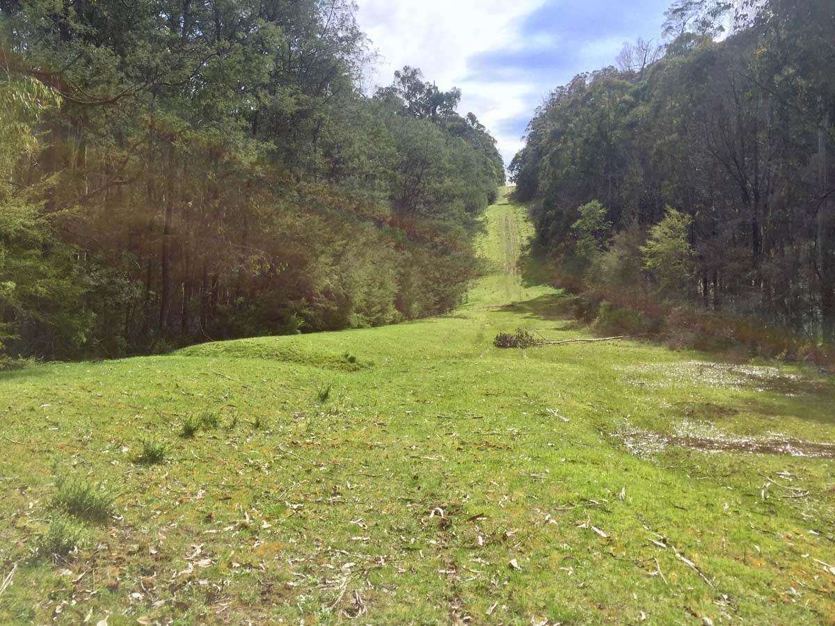 O'shannassy aqueduct trail walk 6