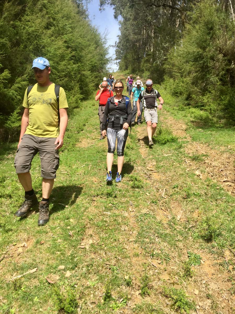 O'shannassy aqueduct trail walk 8