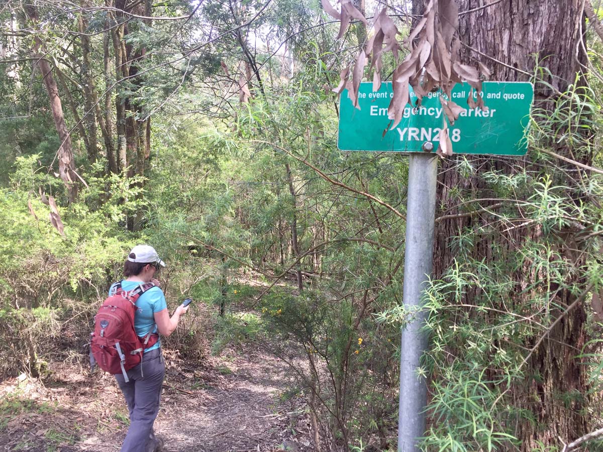O'shannassy aqueduct trail walk 9