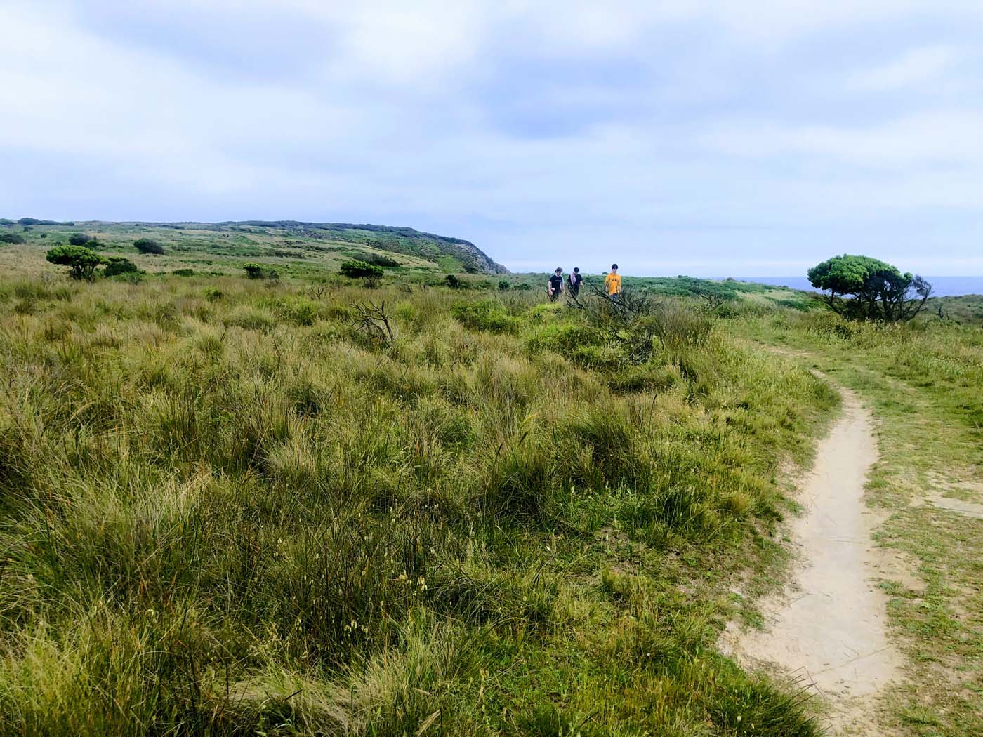 Old granite quarry walk (8)